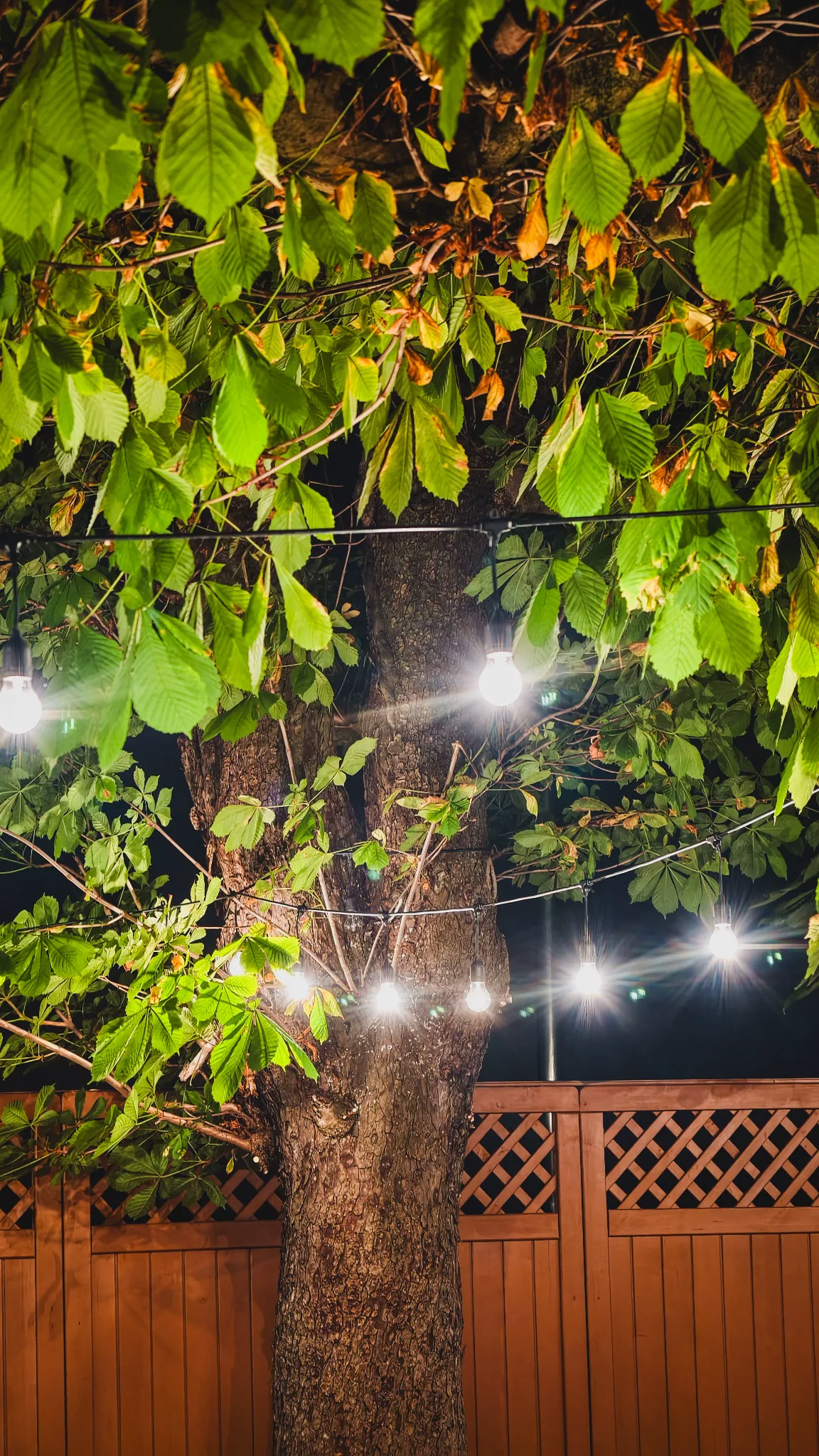 Lichterketten im Gastgarten von La Piazza